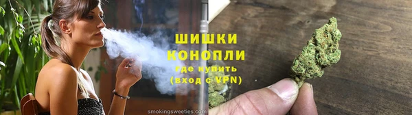 мдпв Гатчина