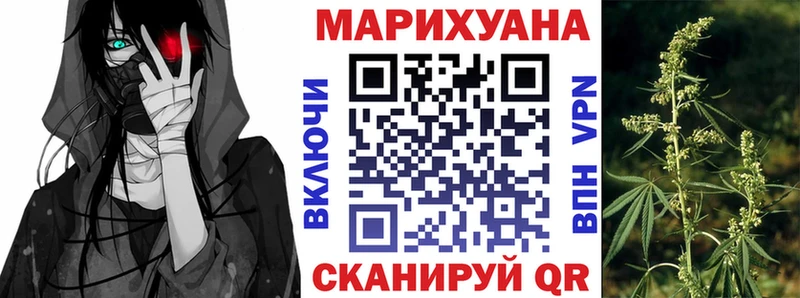 kraken онион  Касли  Конопля сатива  как найти закладки 